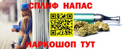 гидра Малоярославец