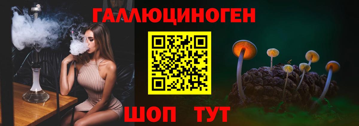 Гай  Псилоцибиновые грибы MAGIC MUSHROOMS  Вход с VPN 